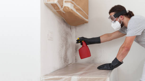 Professional Mold Removal technician working in Petersburg, VA
