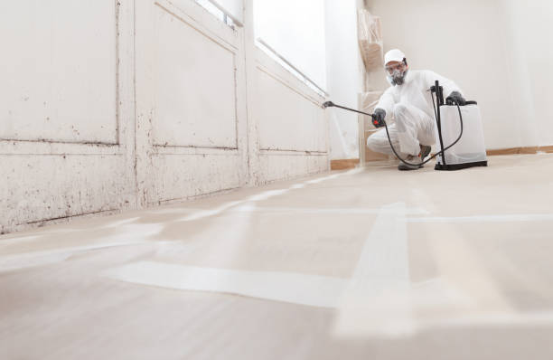 24/7 Emergency Mold Removal experts in Petersburg, VA