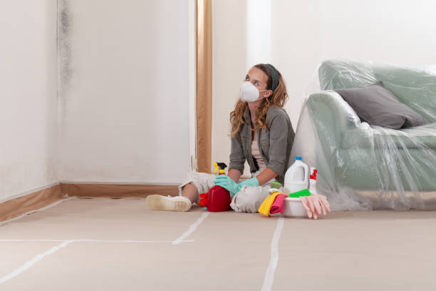Reliable Mold Removal contractor in Petersburg, VA by Car Mold Remediation